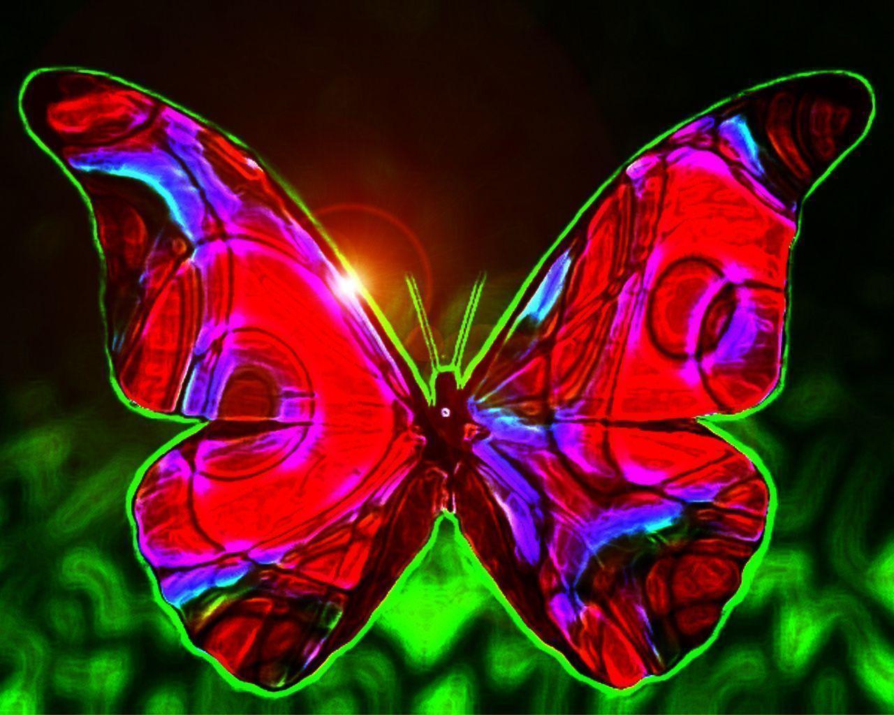 Funny Image Collection: Butterfly wallpaper for home!