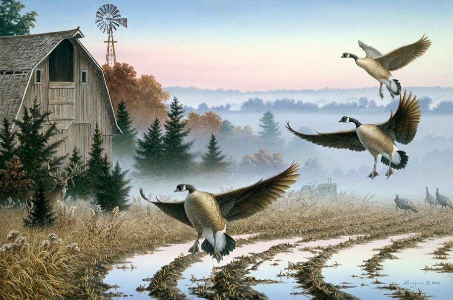 Gallery For > Canadian Geese Wallpaper