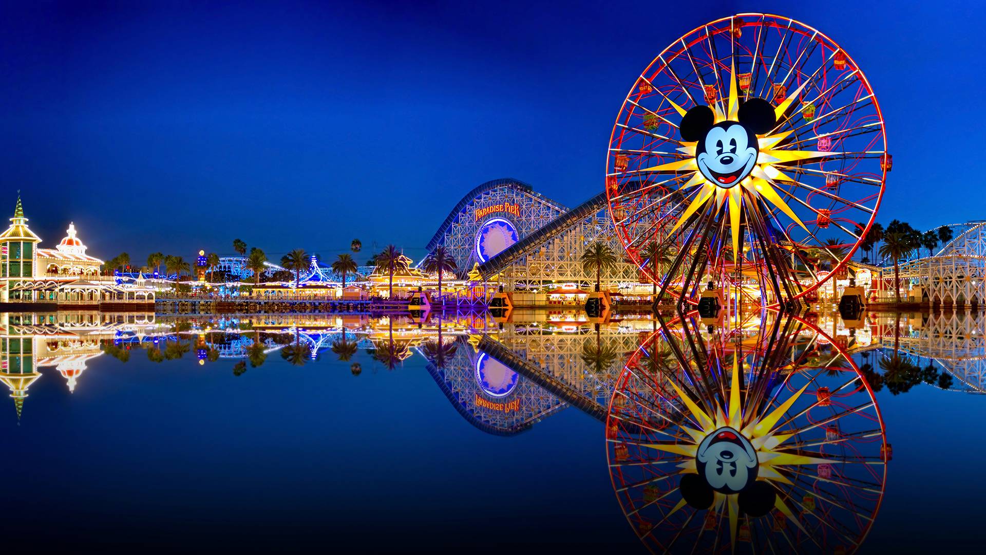 Disneyland California Adventure Land Ferris Wheel Roller Coaster