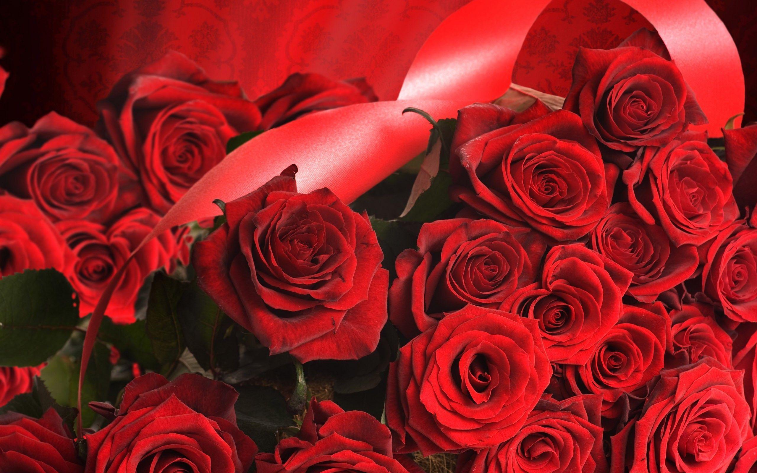 Flowers For > Dozen Red Roses Wallpaper