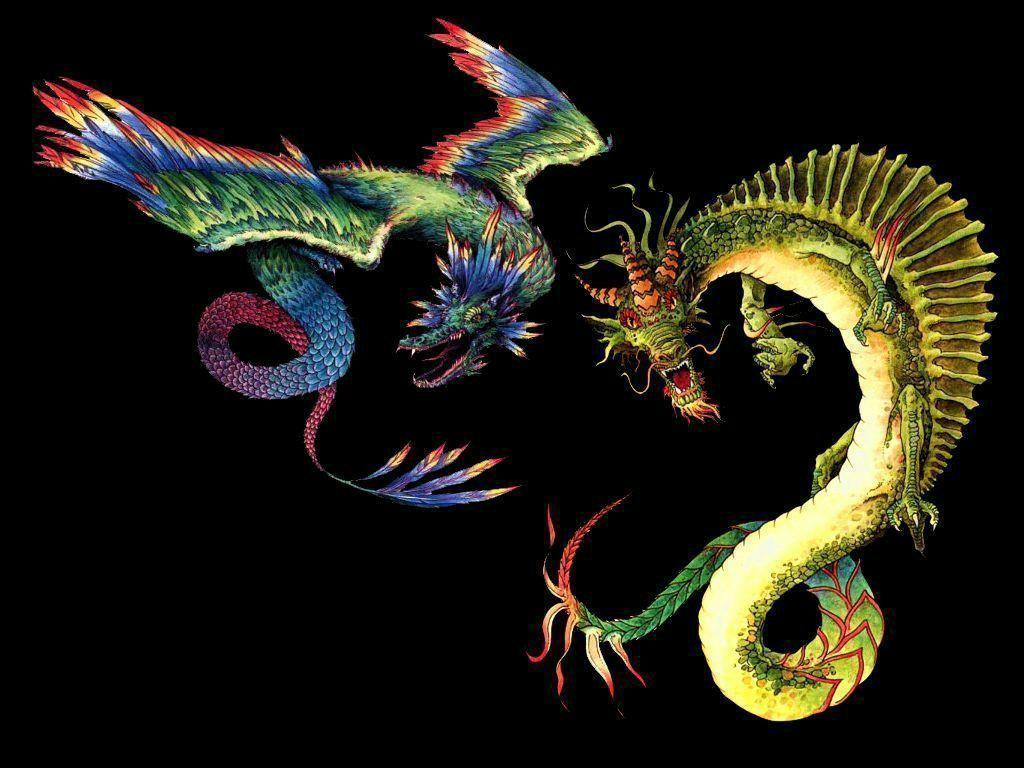 Amphiptere and Dragon creatures Wallpaper 28642830