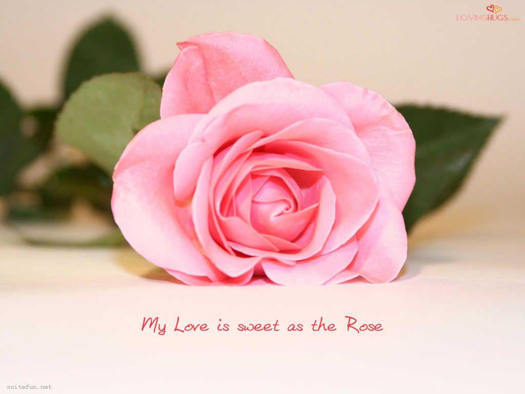 Valentines For > Love Quotes And Sayings Wallpaper