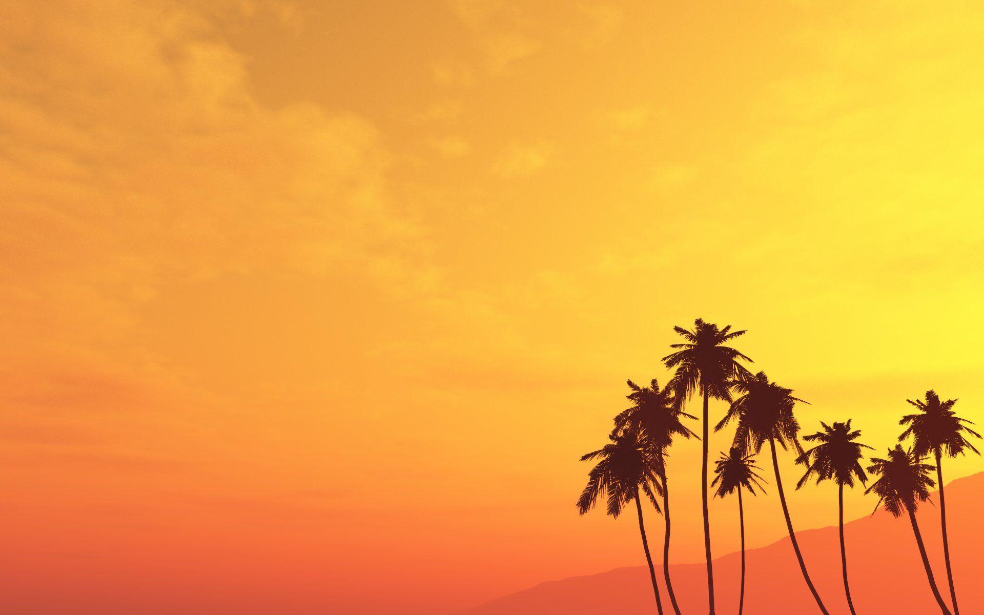 Palm Trees Background Wallpaper