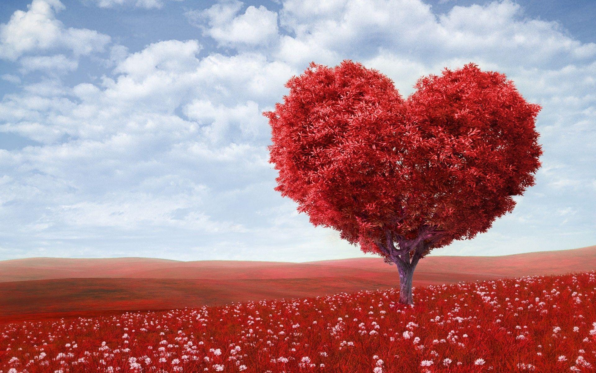 Valentine&;s Day Wallpaper, love, romance, heart, tree, field