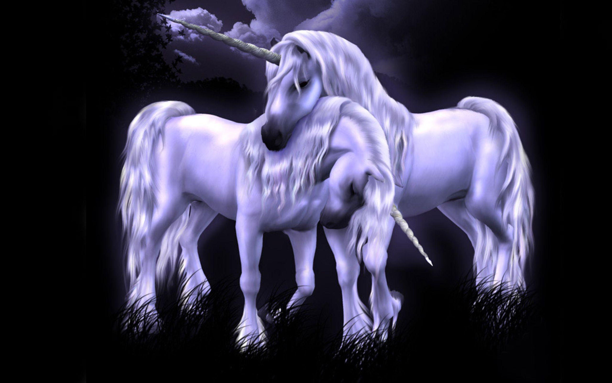 unicorn Wallpaper Background