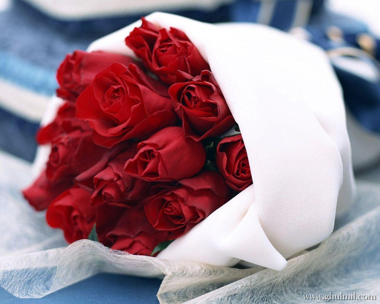 Flowers For > Red Rose Love Wallpaper