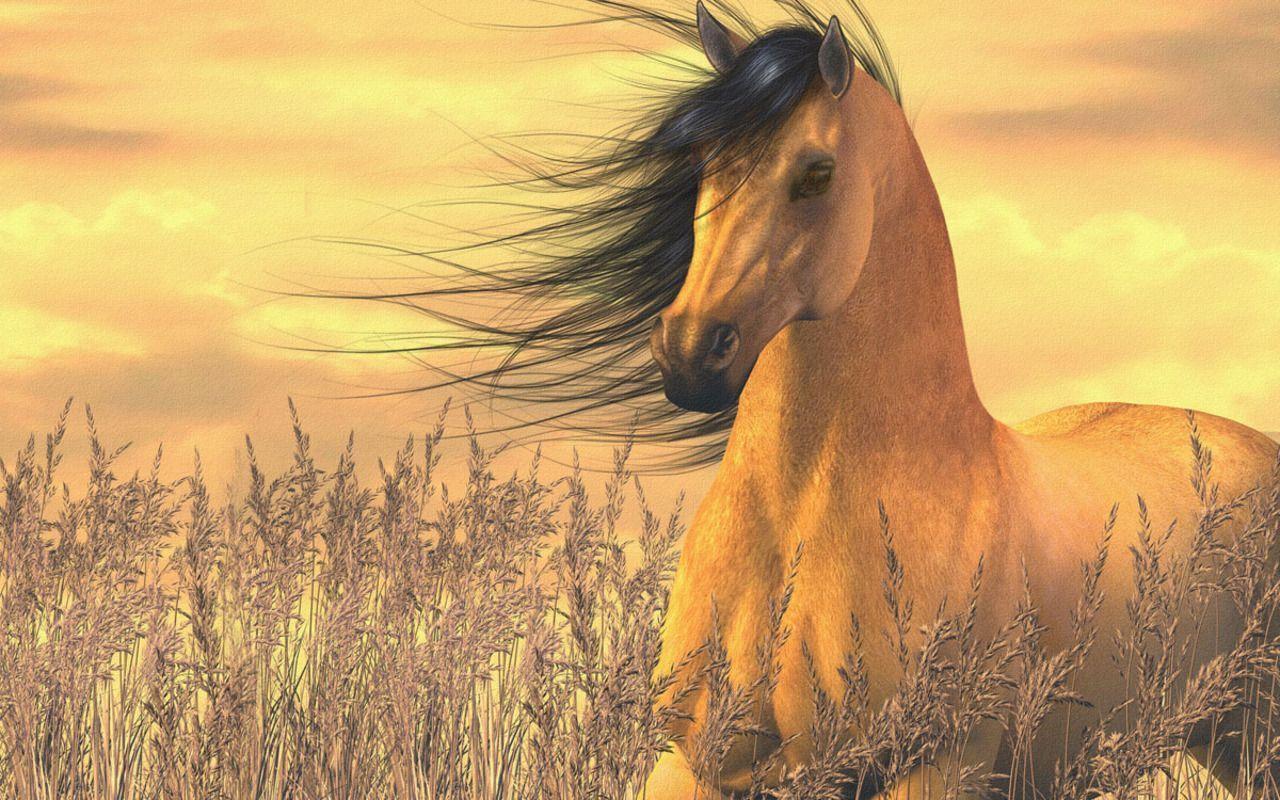 Horse Fantasy Art Wallpaper Wide Wallpaper. WallscreenHD