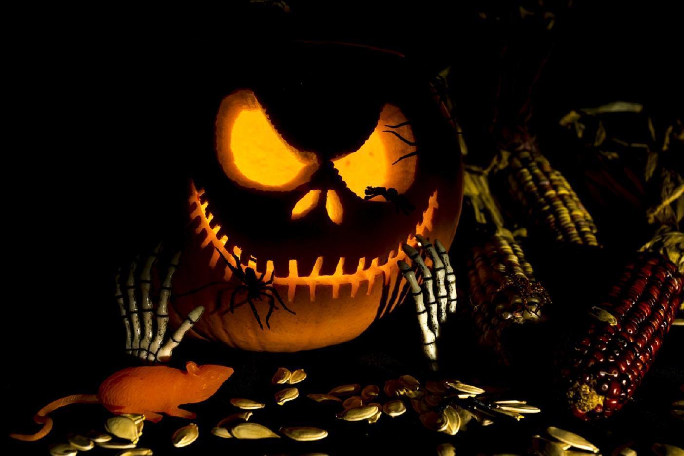 Halloween Great Pumpkin Amazing Pretty Nice HD wallpaper #