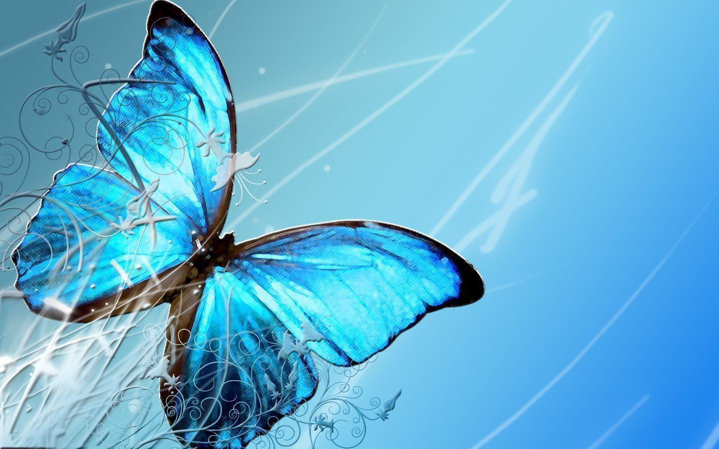 Download wallpaper: blue butterfly on background, download photo