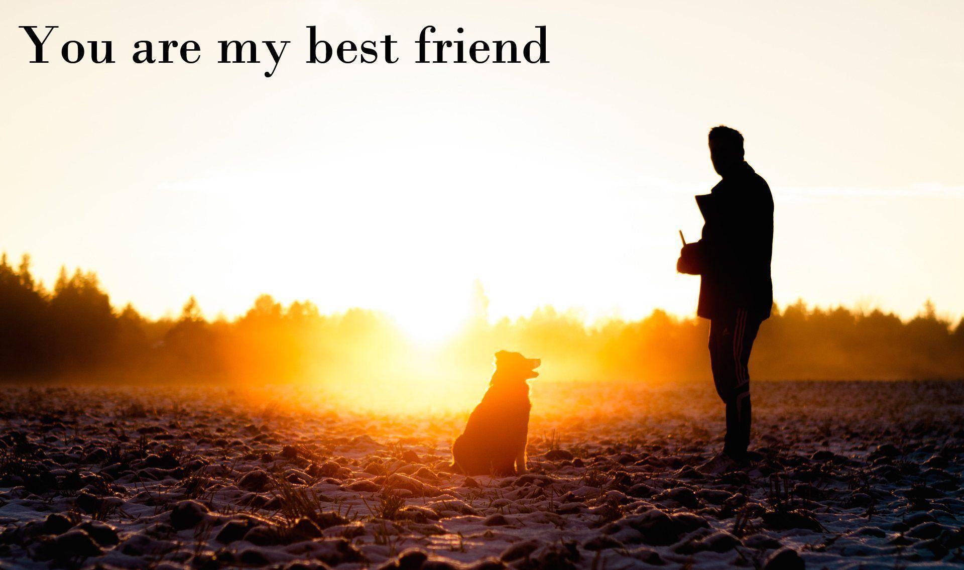 image For > Best Friend Wallpaper