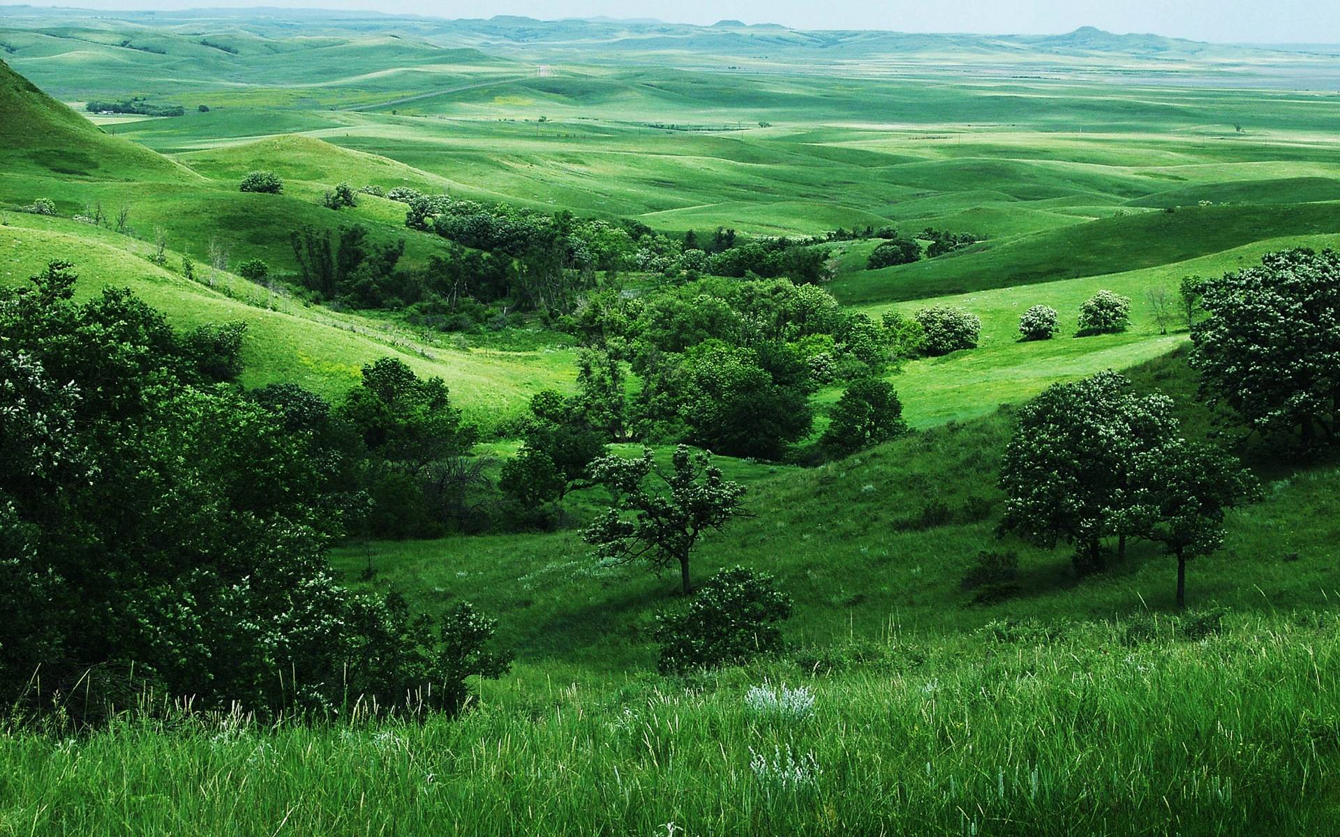 Grassland Backgrounds Wallpaper Cave