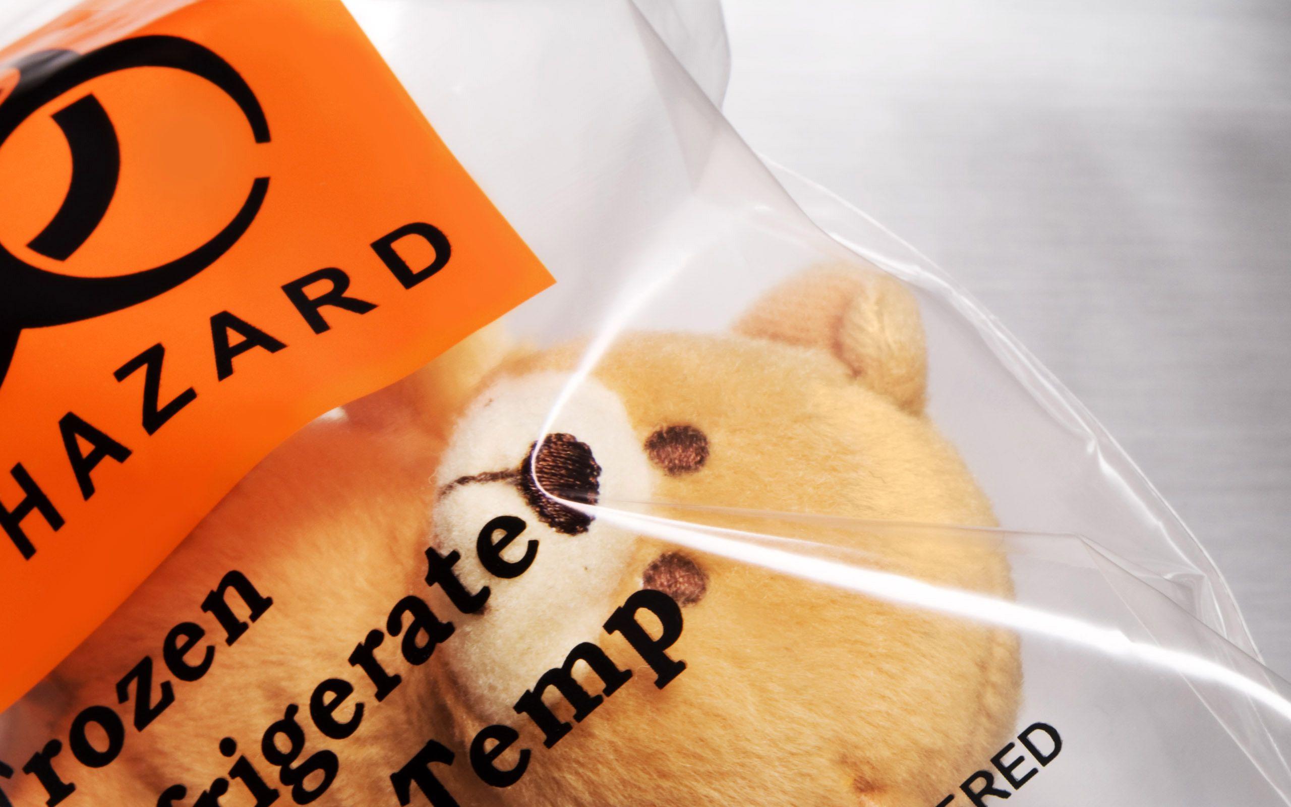 Teddy Bear Picture Download HD Background Wallpaper 19 HD