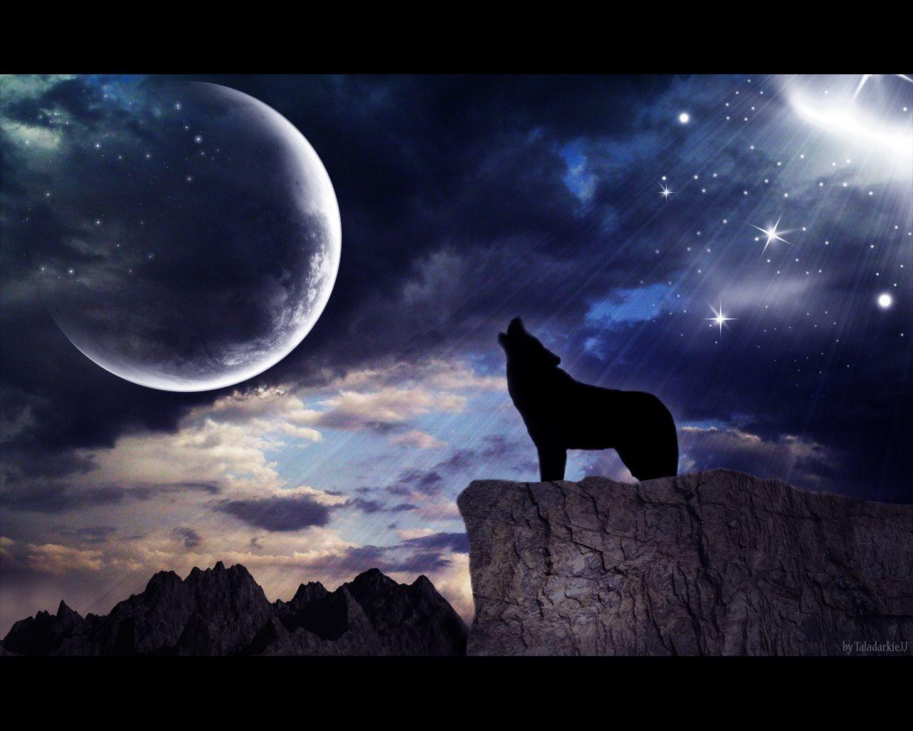 Image For > Black Wolves Howling At The Moon