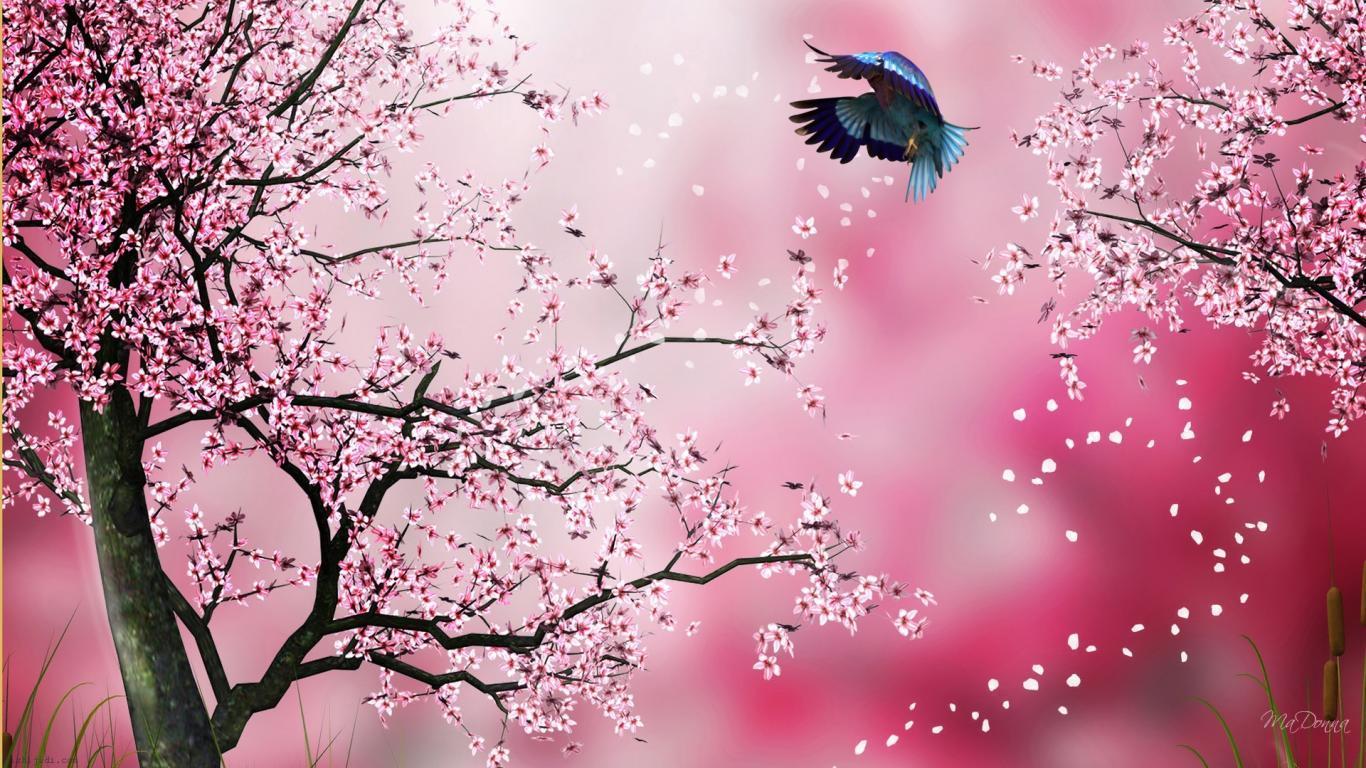 Wallpaper Sakura 1366×768. Wallpaper HD Desktop Widescreen Tablet