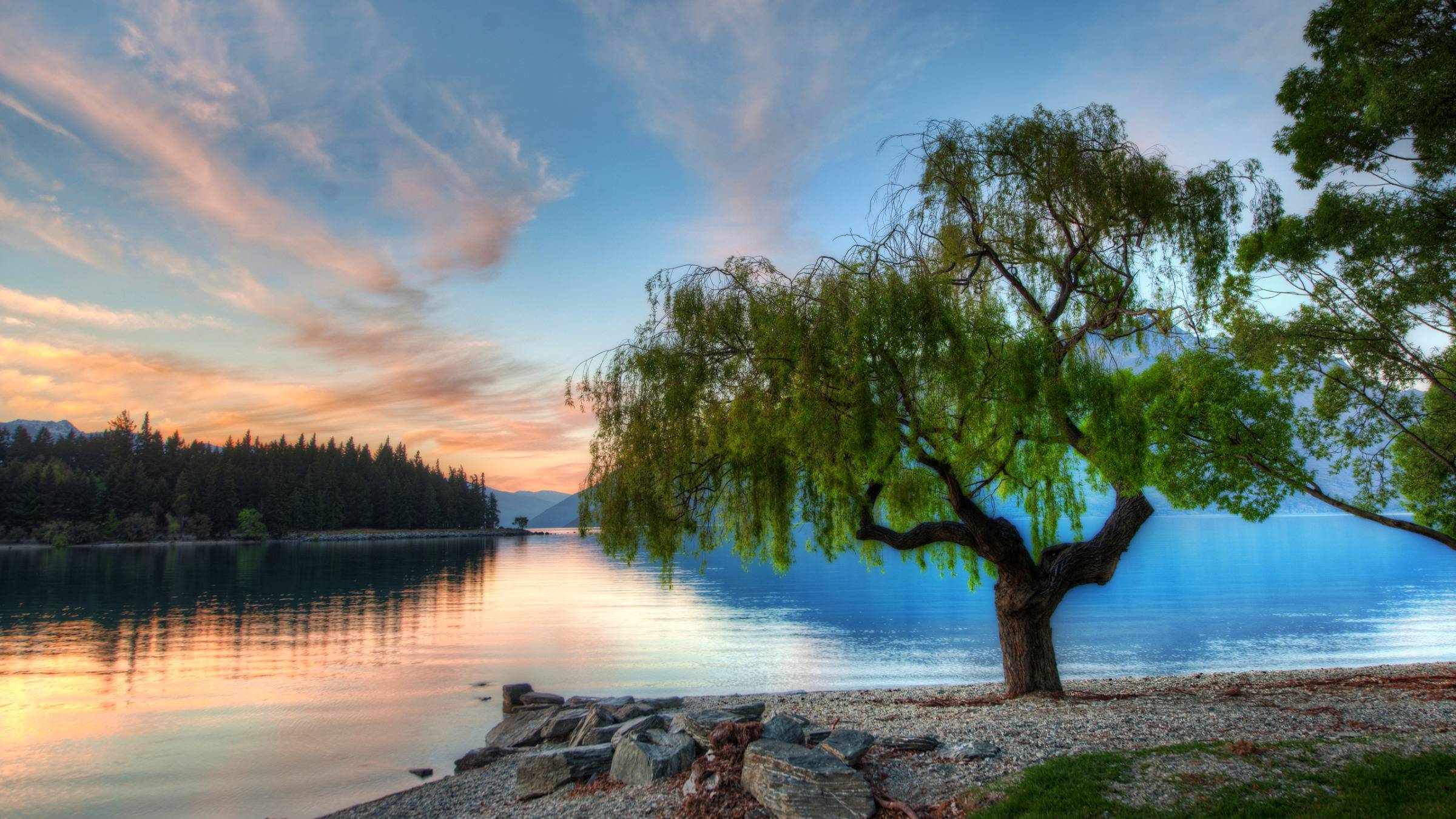 Tree at the Serene Lake widescreen wallpaper. Wide