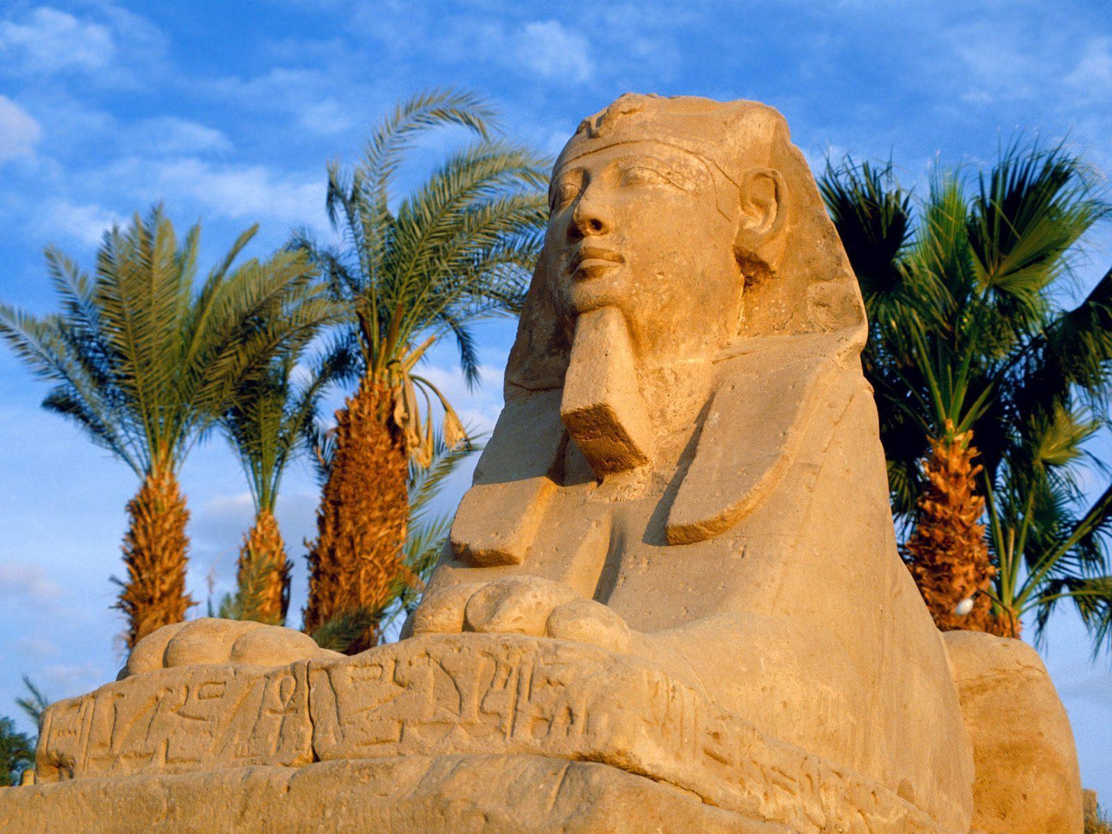 Sphinxes in Egypt free desktop background wallpaper image