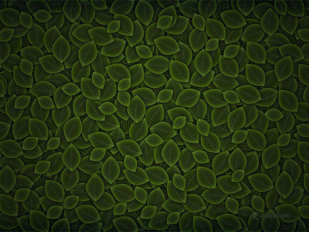 Dark Green Wallpaper 24 219536 High Definition Wallpaper. wallalay