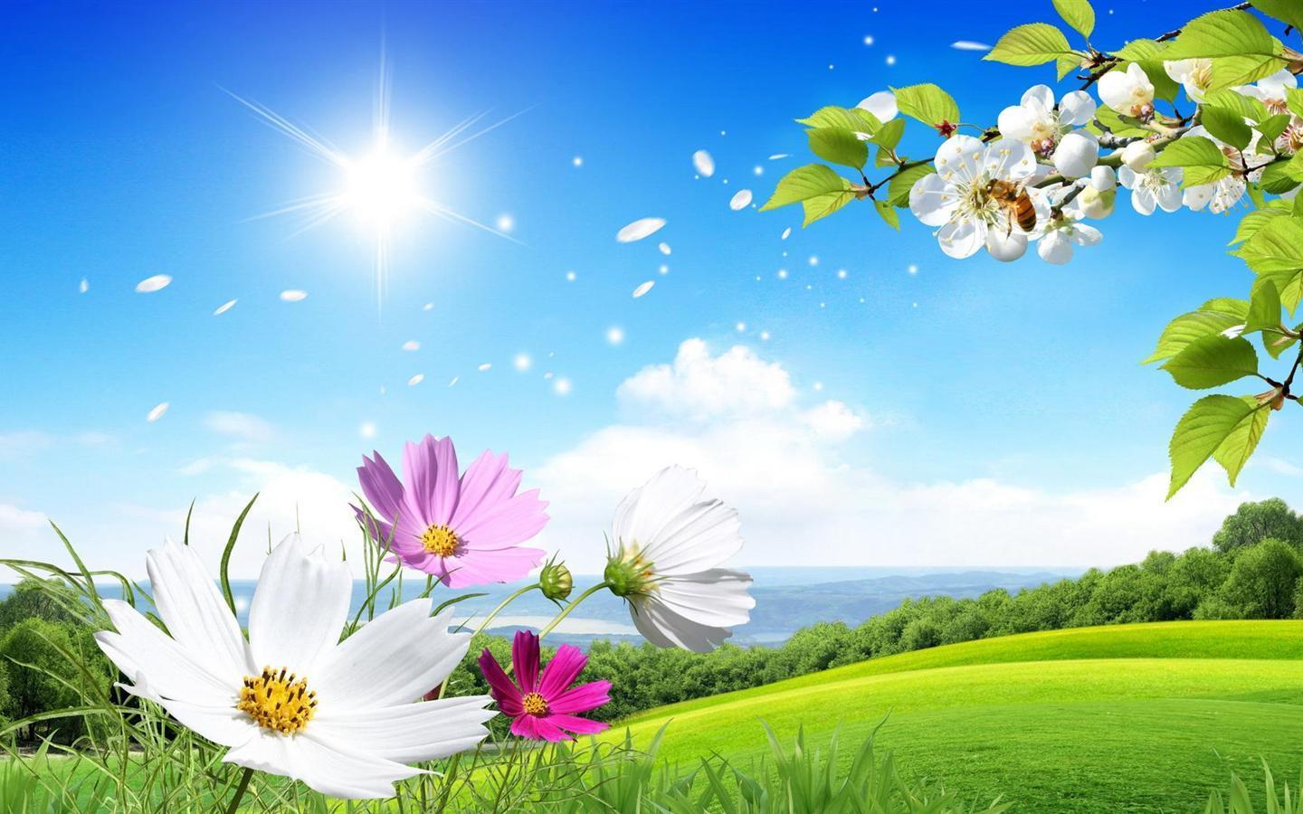 Flowers Scenery Wallpaper 19719 Full HD Wallpaper Desktop