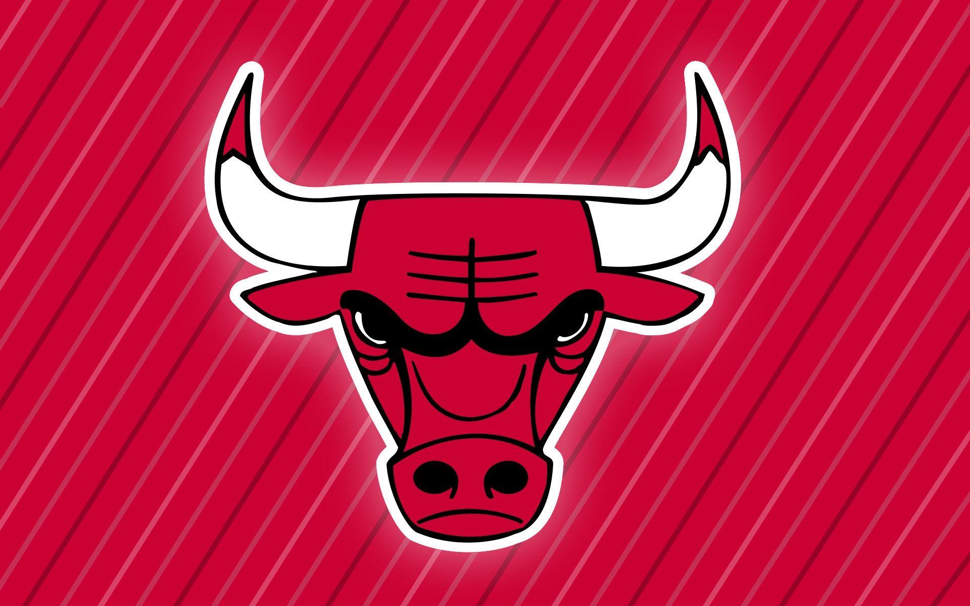 Bulls Wallpaper Full HD