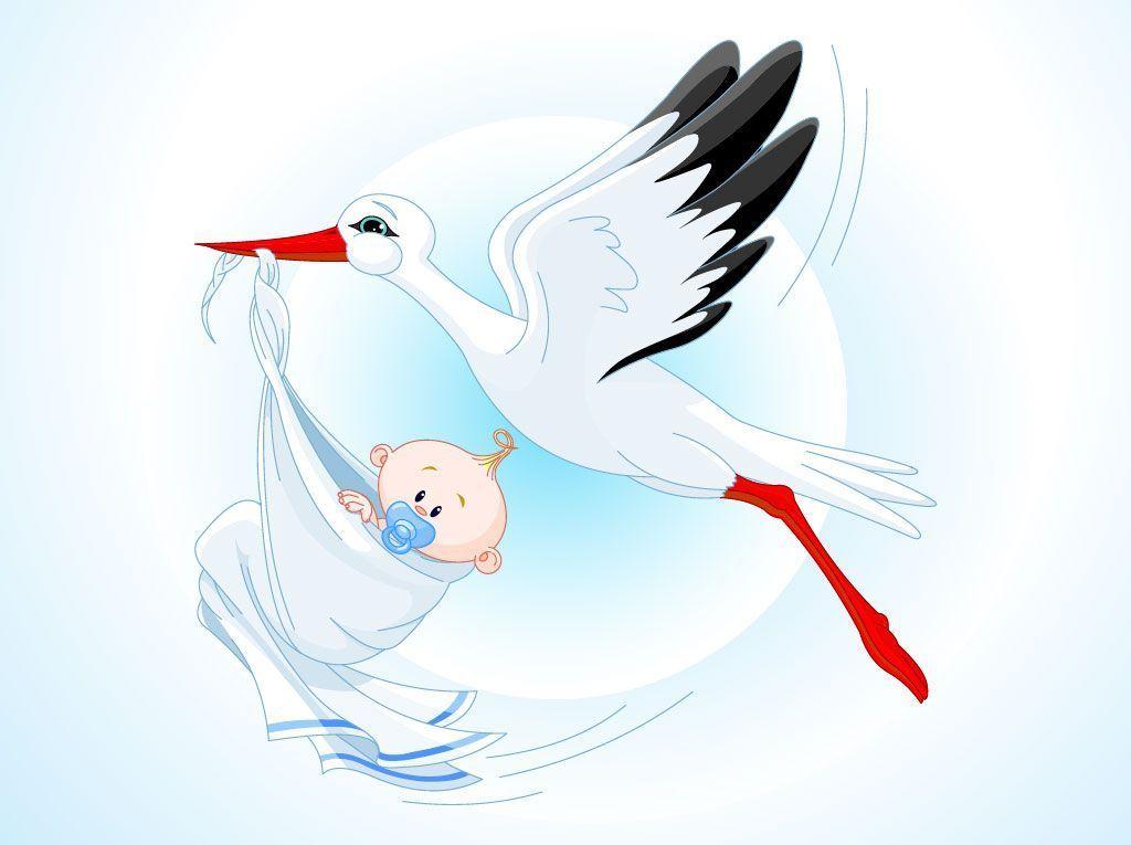 Free Stork Vectors