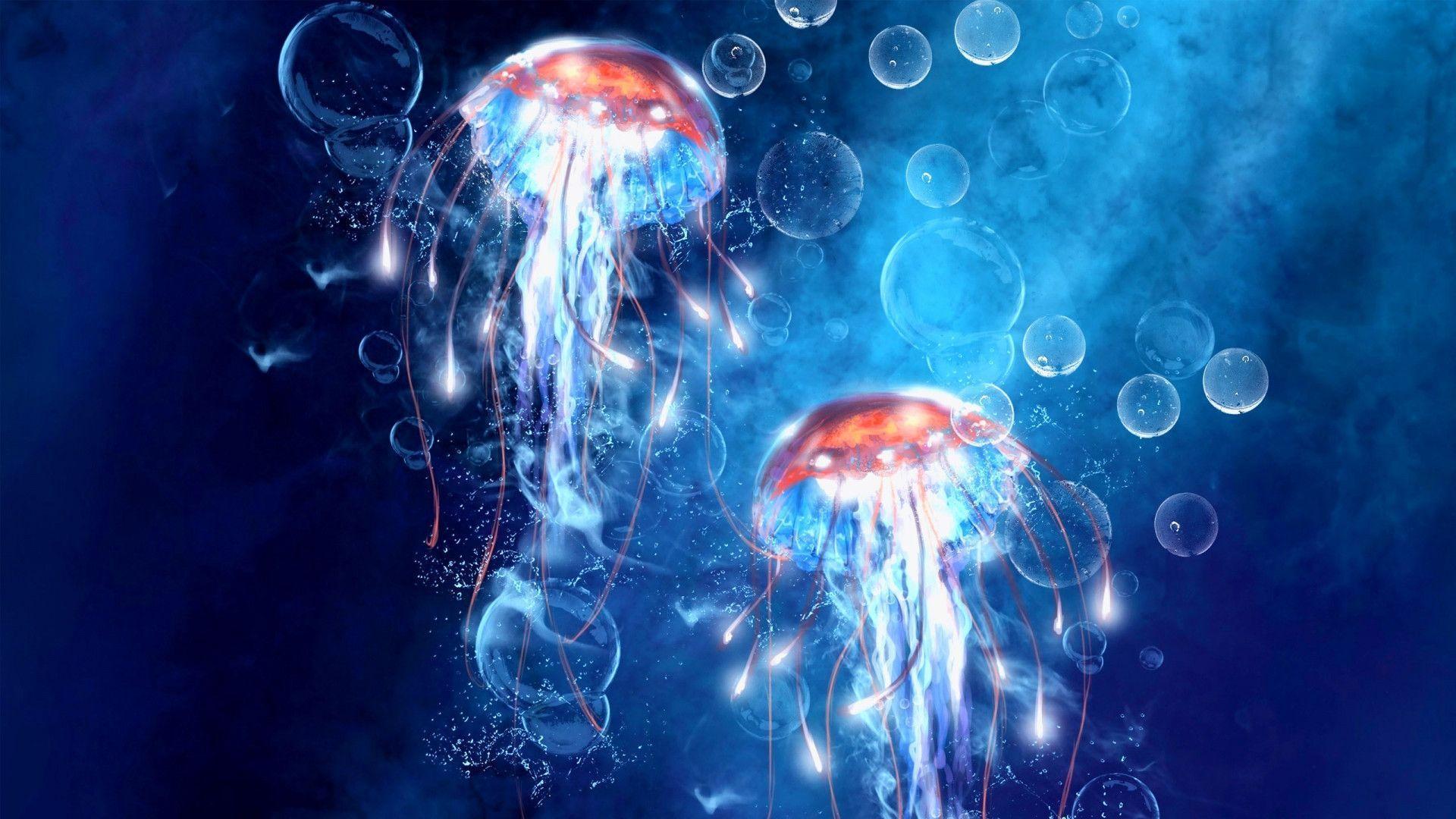 HD wallpaper jellyfish pink aquatic organisms animals  Wallpaper Flare