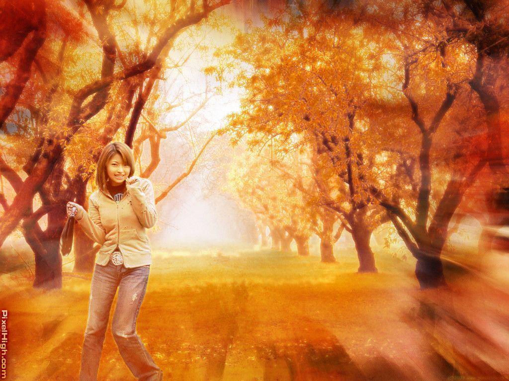 Cute Fall Backgrounds : White Tiger Hd Wallpapers High Definition