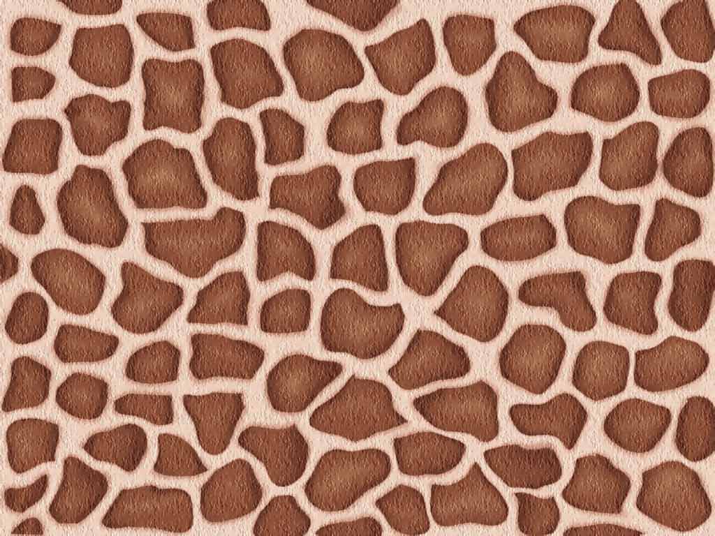 Wallpaper For > Giraffe Skin Wallpaper