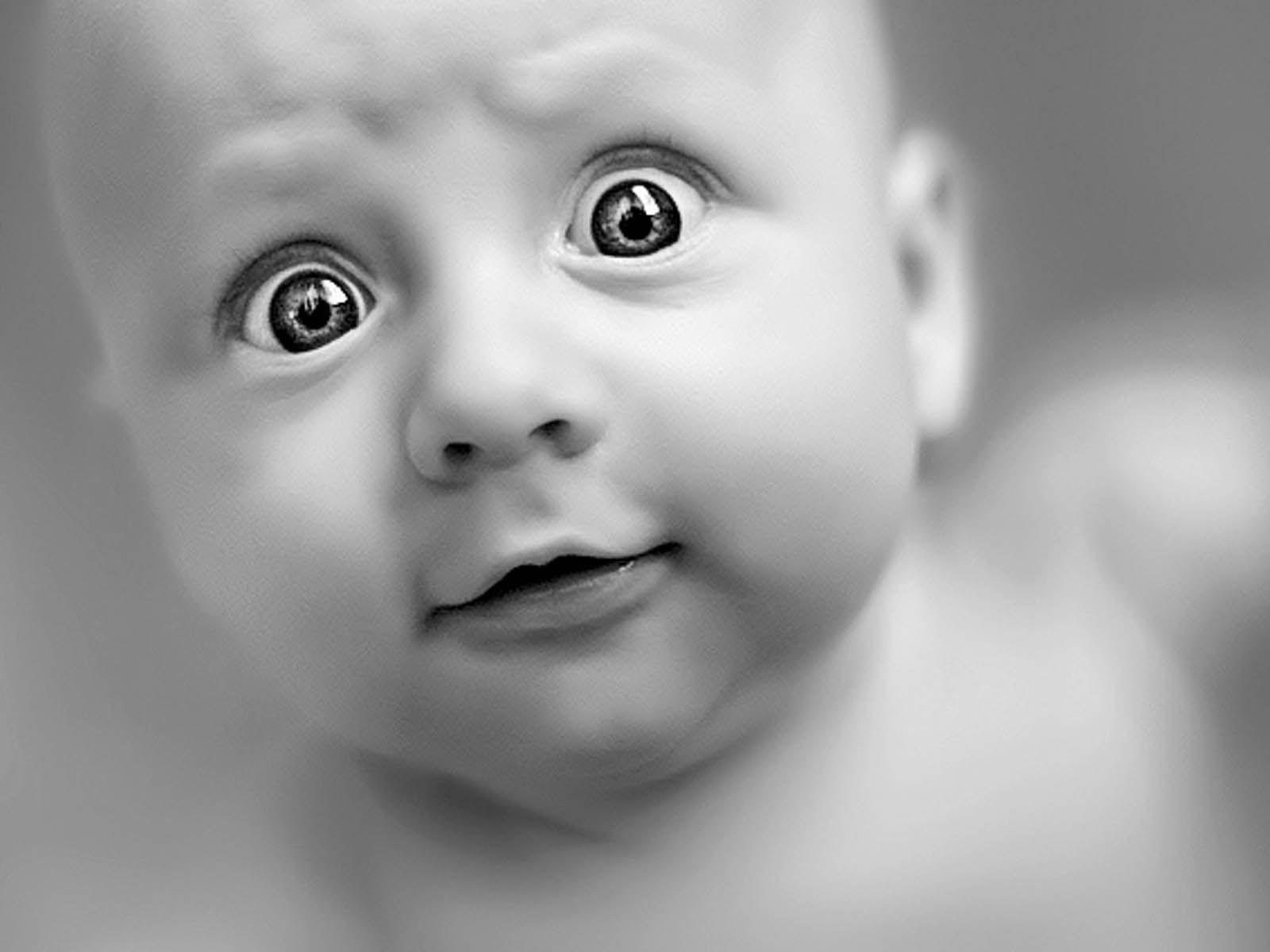 Funny Wallpaper Of Babies