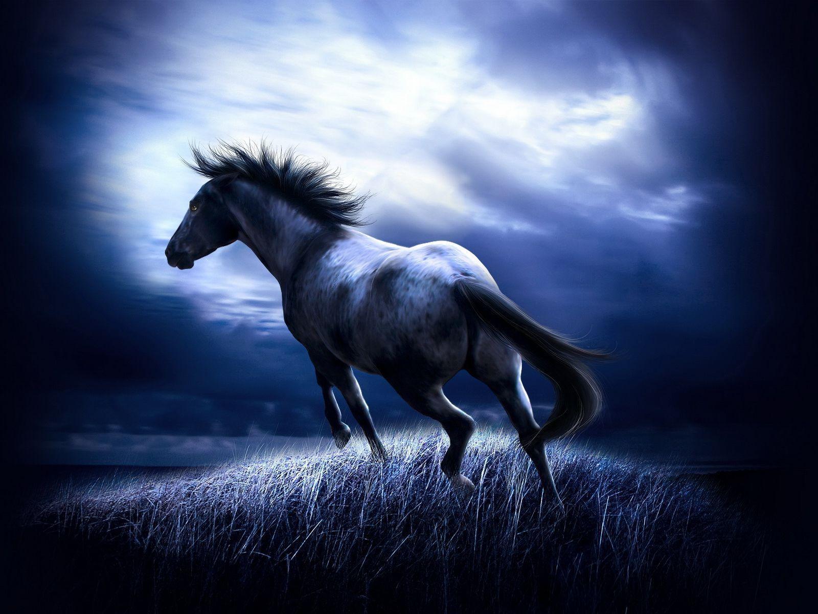Download Free Dark Horse Running Under The Blue Skies Wallpaper