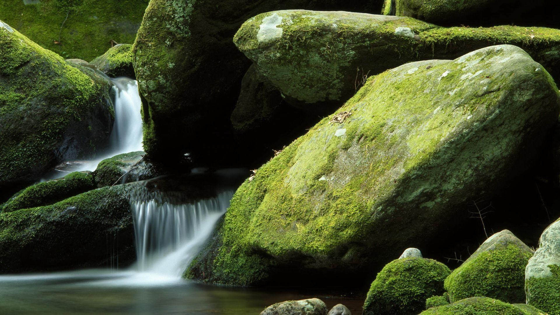 hd 1080p wallpaper