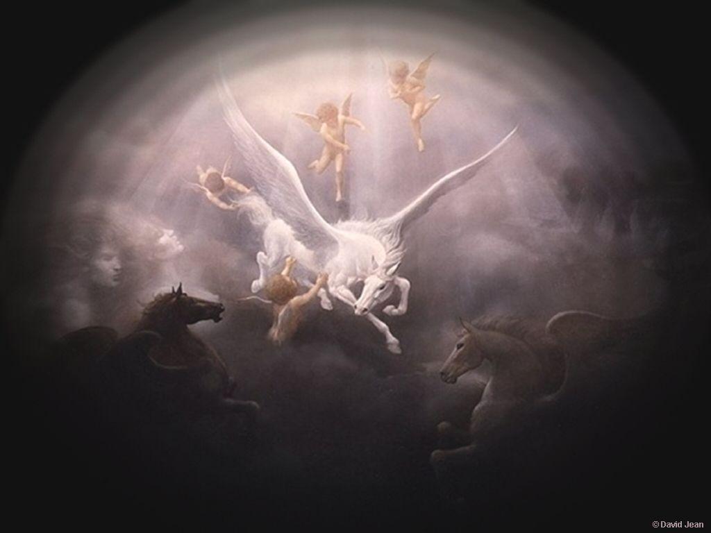 Unicorns Vs Pegasus Wallpaper
