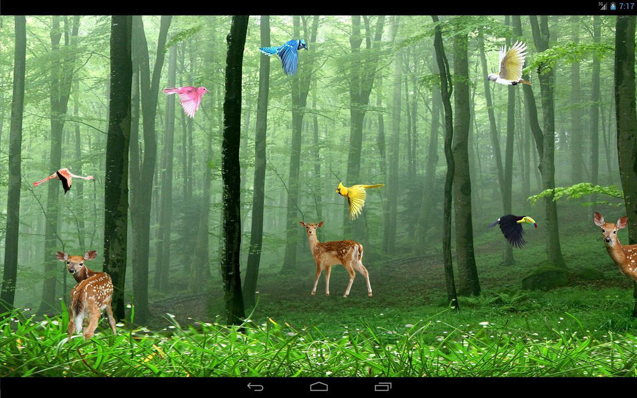 Rain Forest Live Wallpaper Apps on Google Play