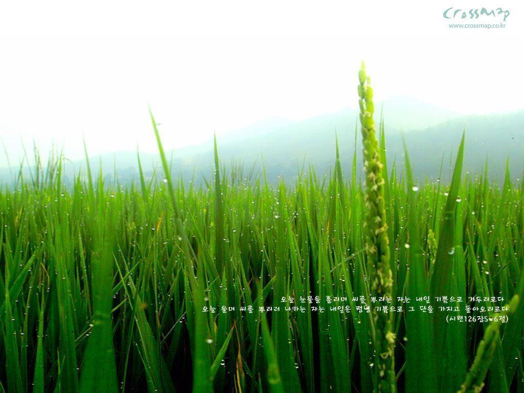 Christian wallpaper with Bible verses 1024x768 NO.7 Desktop