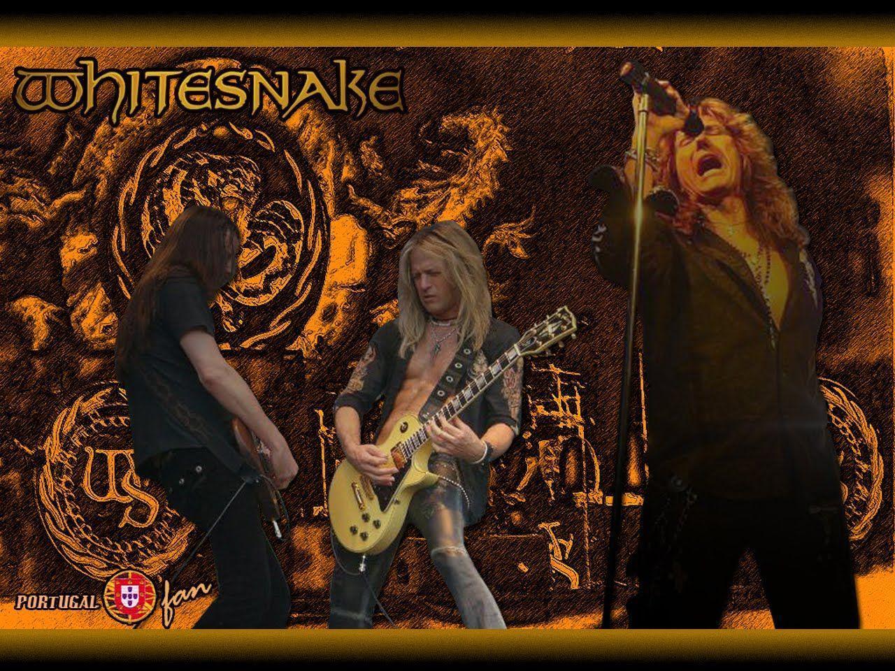 Whitesnake Wallpapers - Wallpaper Cave