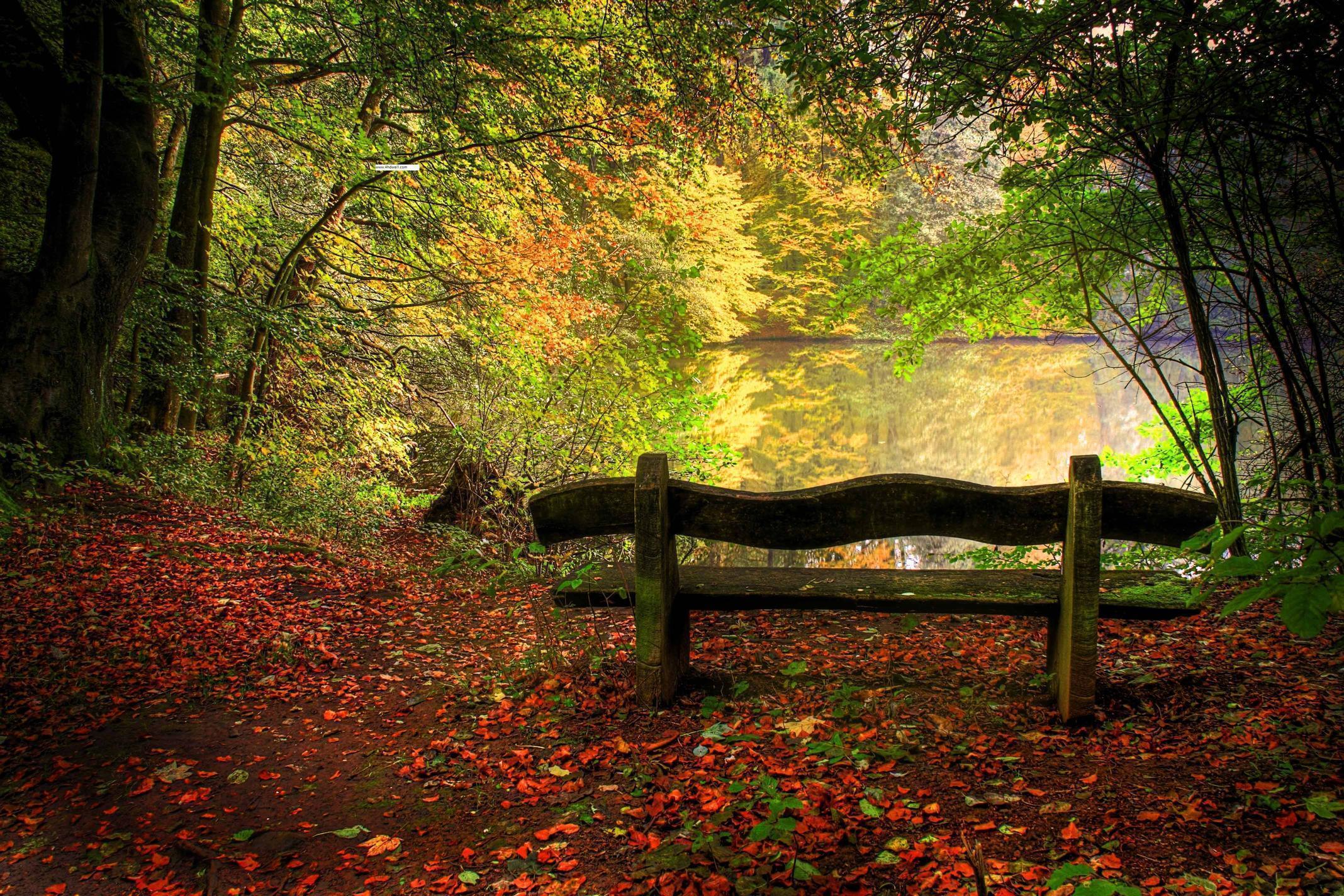 Hd Autumn Wallpaper and Background