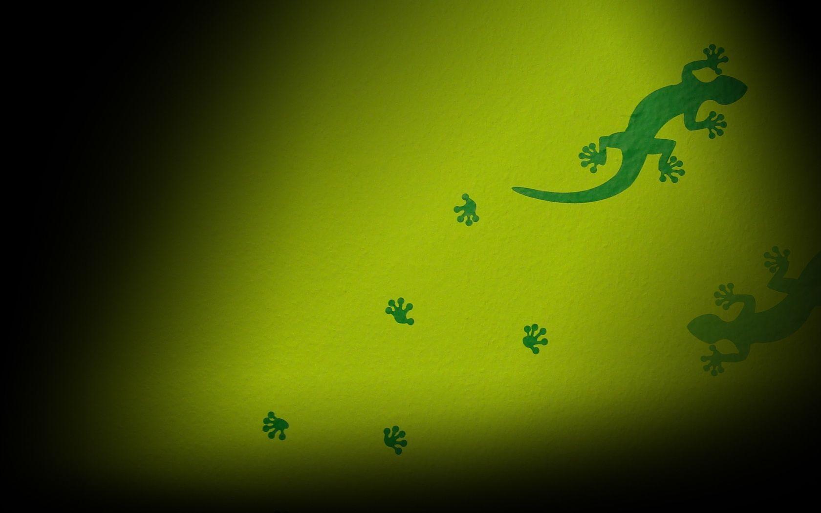 Green lizard wallpaper and image, picture, photo
