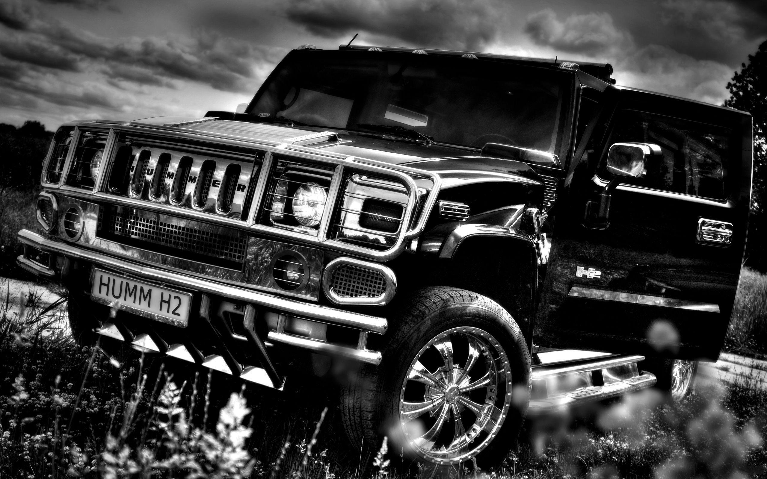 Wallpaper Hummer Wallpaper