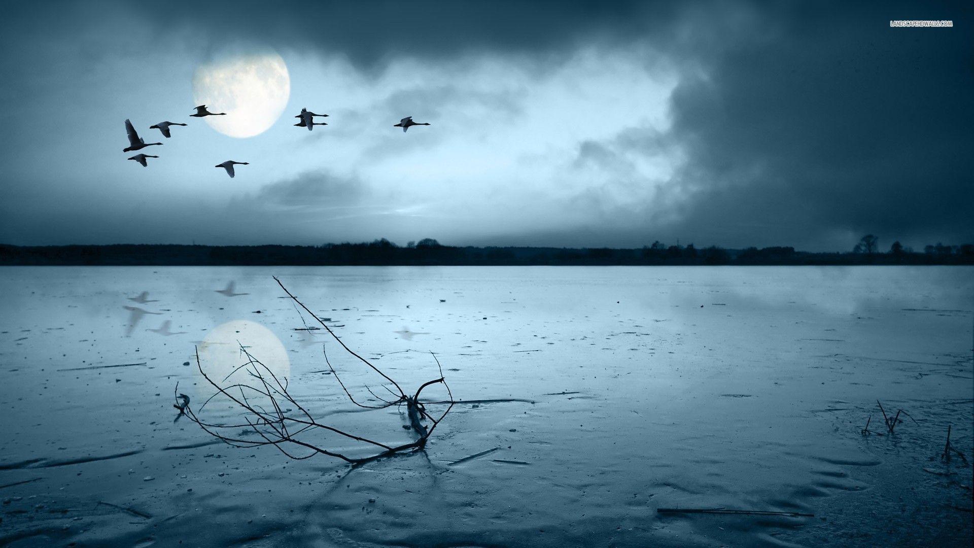 image For > Flying Geese Wallpaper