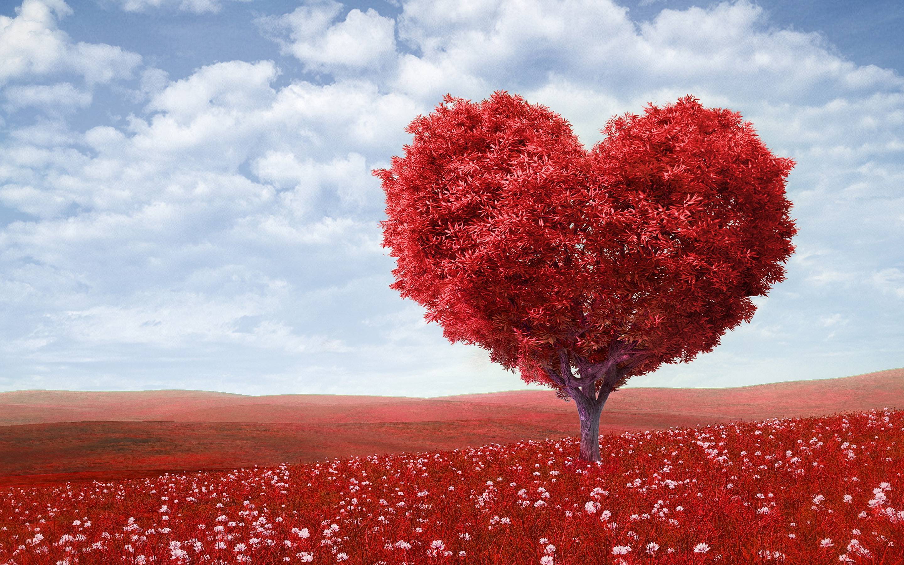Red heart tree Wallpaper