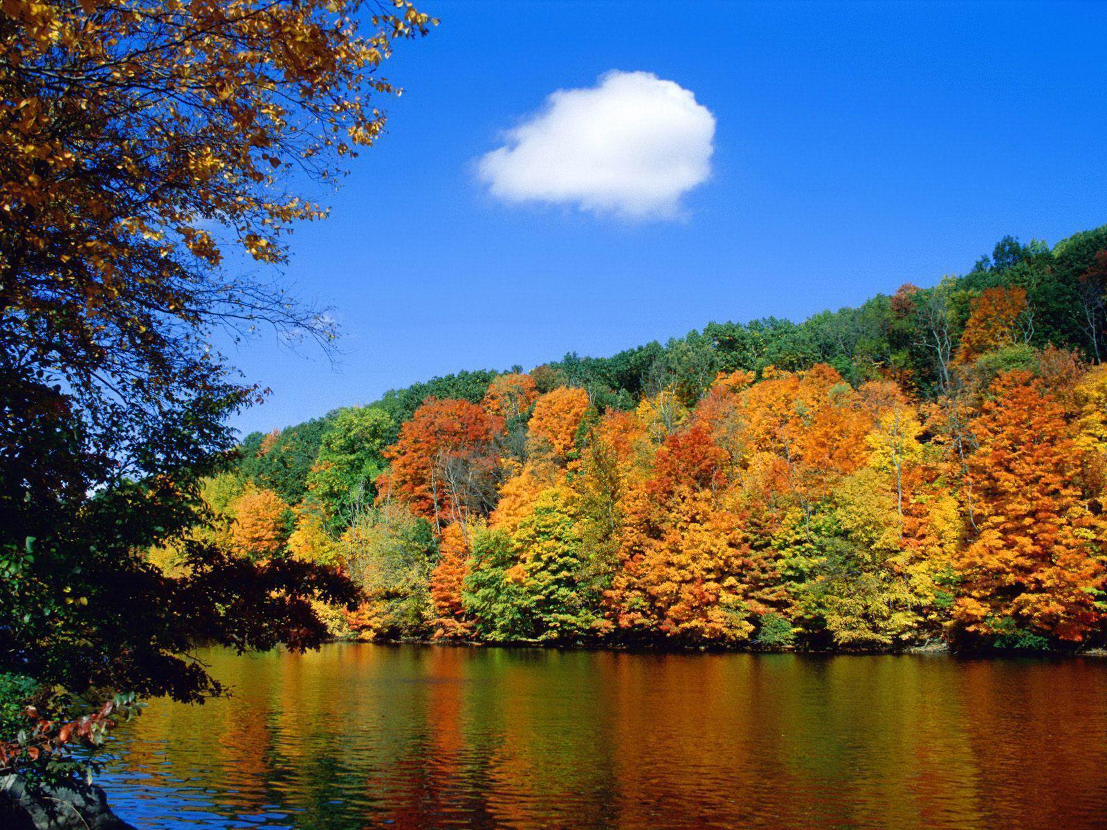 Seasonal shoreline autumn landscape free desktop backgrounds