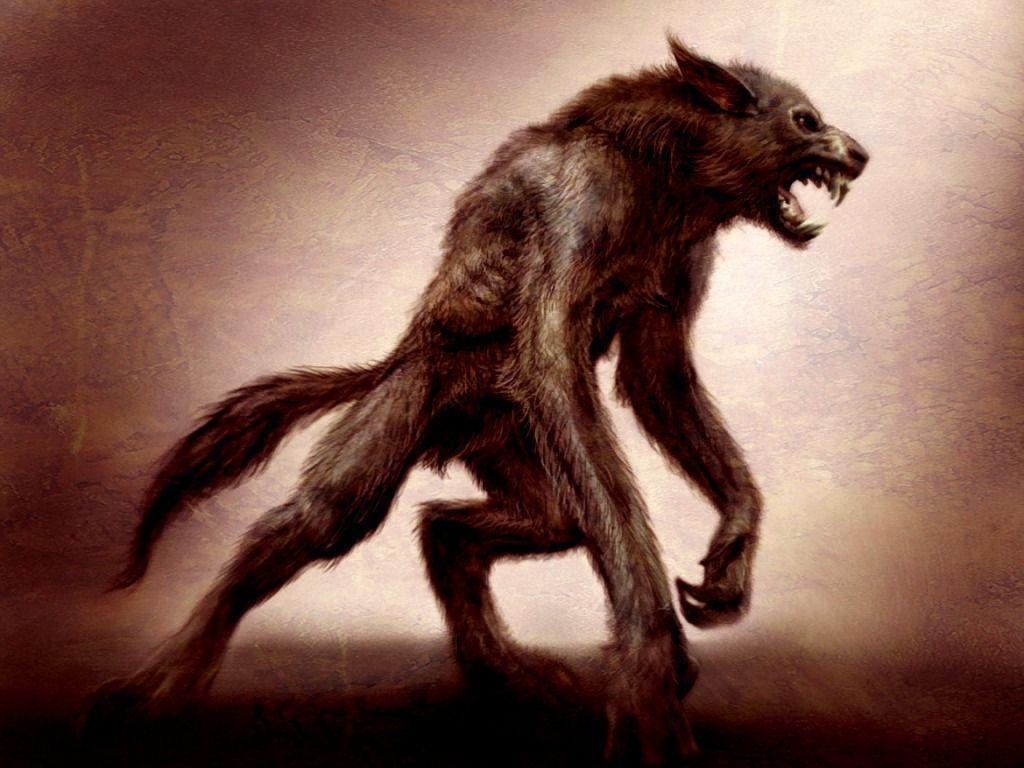 Pix For > Halloween Werewolf Wallpaper