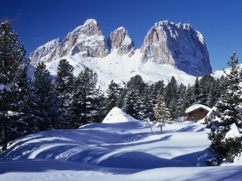 Nature&;s Wonder Wallpaper