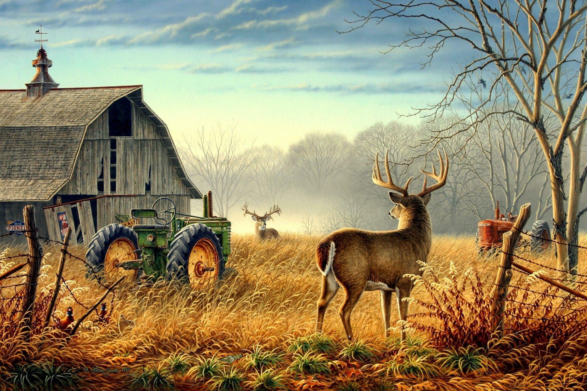 Download wallpaper Deer, tractor, autumn free desktop wallpaper
