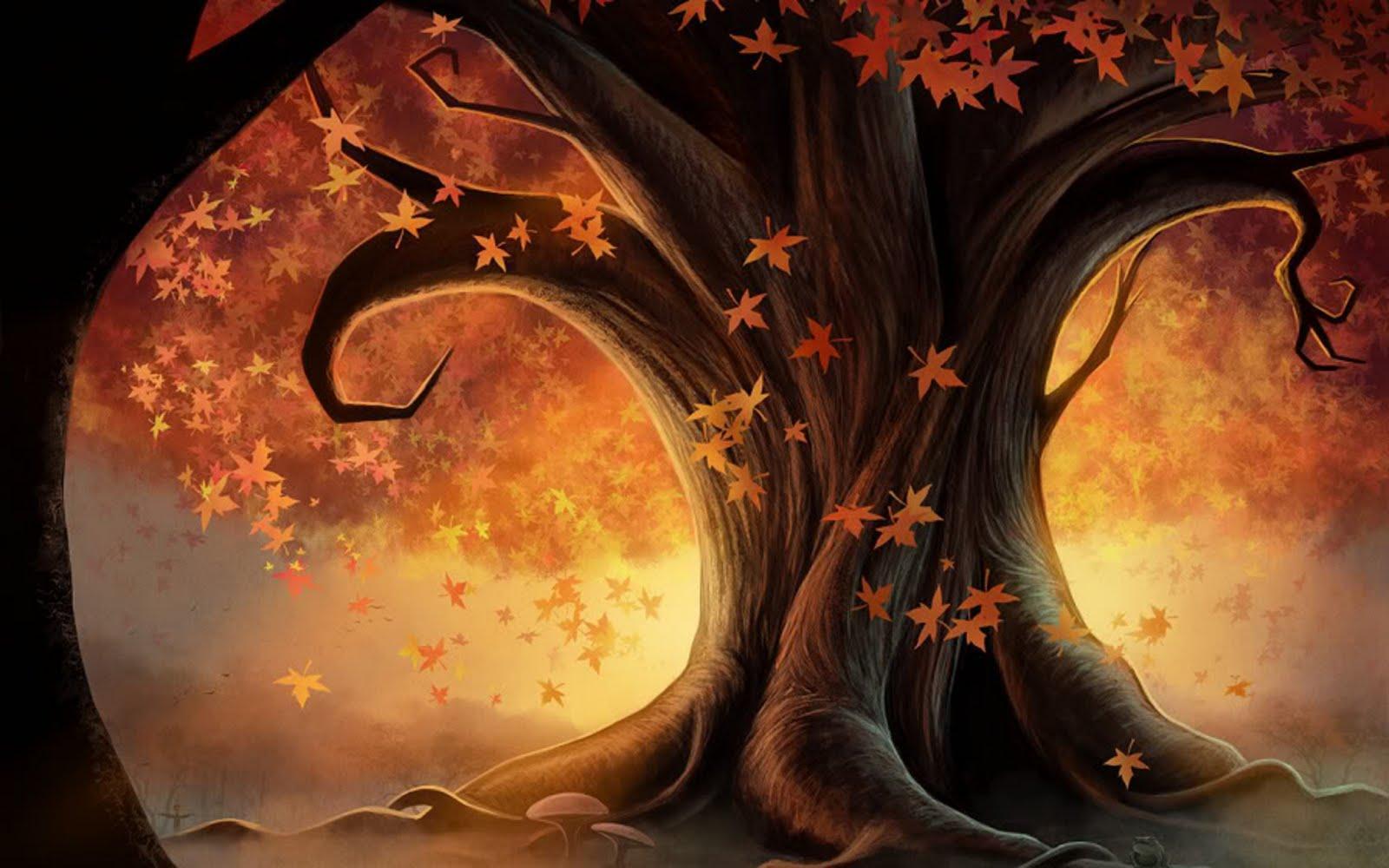 Wallpaper For > Autumn Trees Wallpaper HD