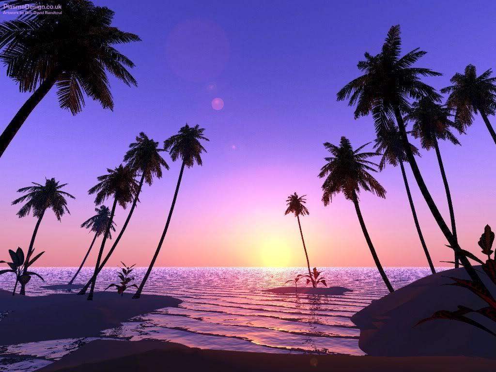 Beach Sunset With Palm Trees Drawing Free Desk HD Wallpaper