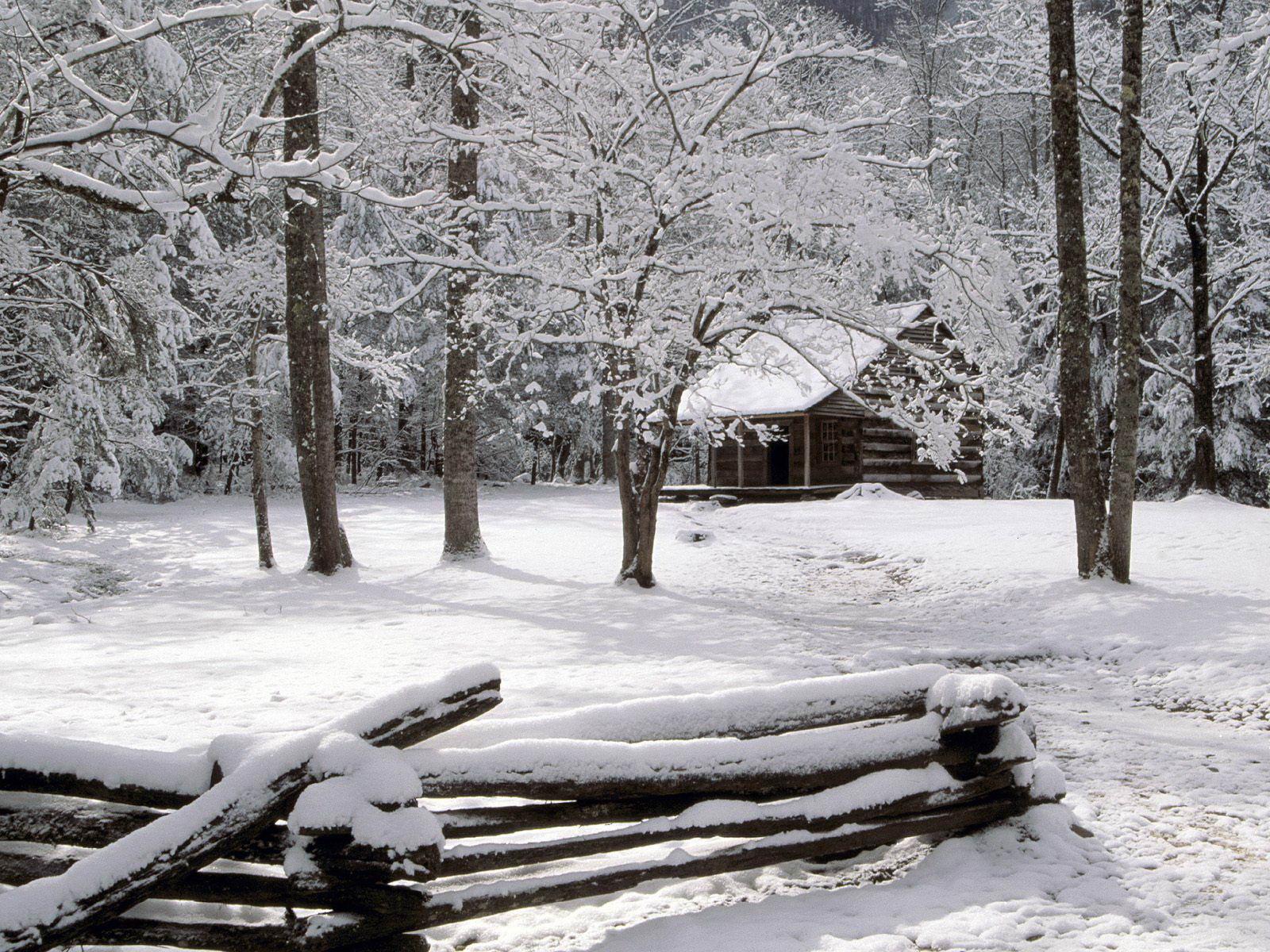 Carter shields cabin in winter free desktop background
