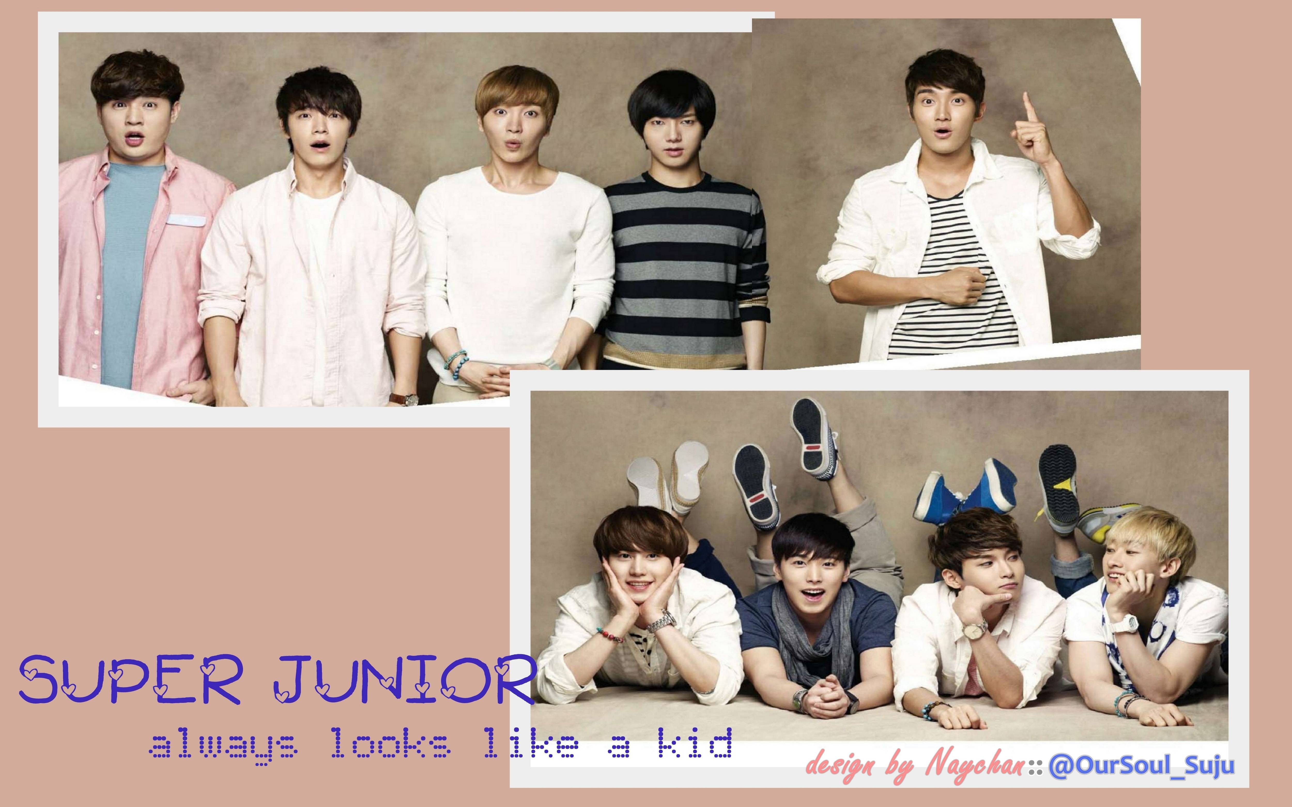 Super Junior Junior Wallpaper