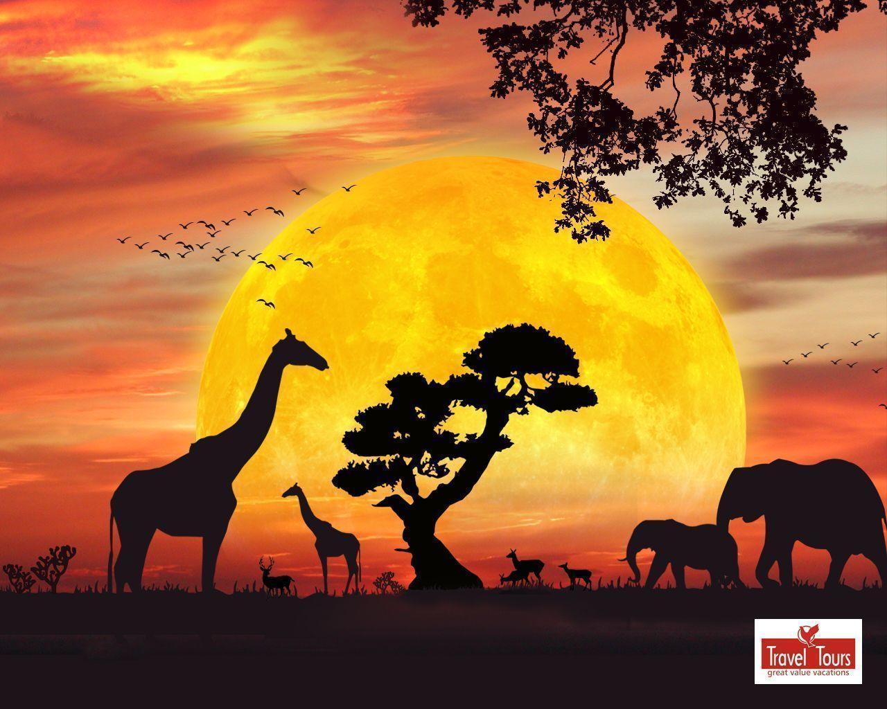 african safari sunset wallpaper