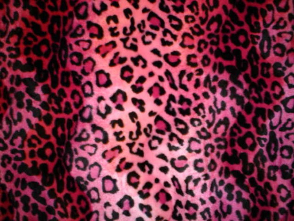 Leopard Print Wallpaper Pink 9116 Wallpaper: 1024x768