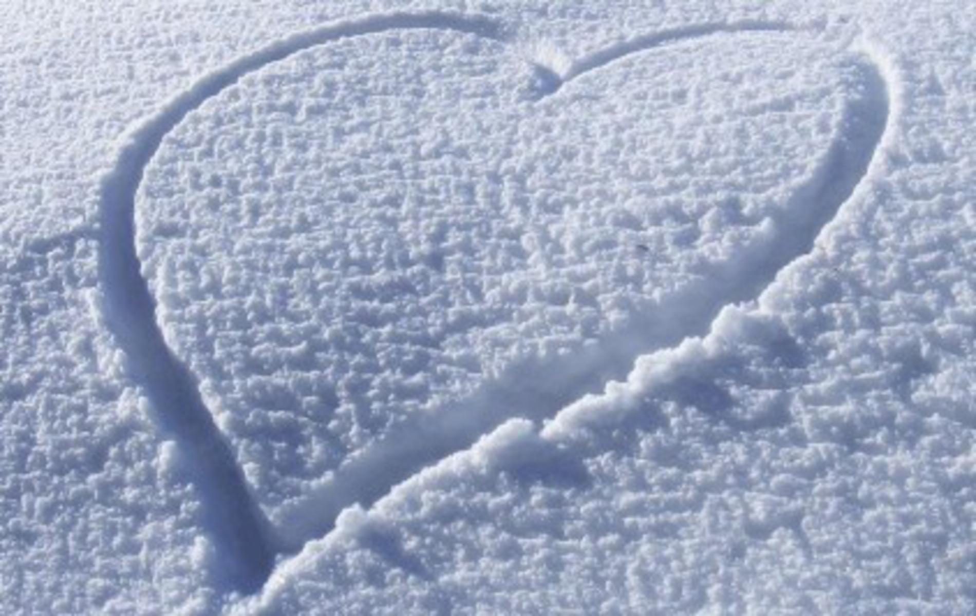 heart in snow free background